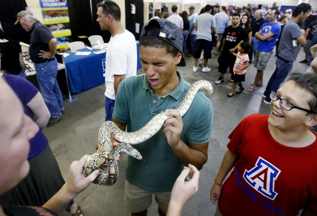 Photos Tucson Reptile and Amphibian Show