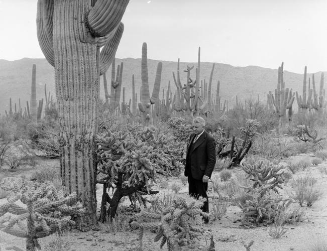 Street Smarts: Harrison Road