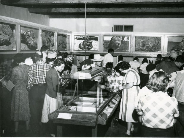 The Arizona-Sonora Desert Museum at 60 years old