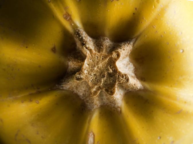 Spaghetti squash