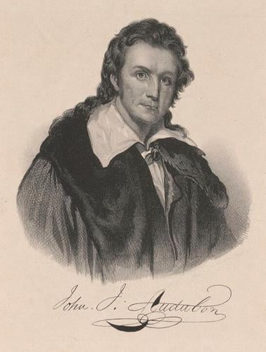 John James Audubon drawing