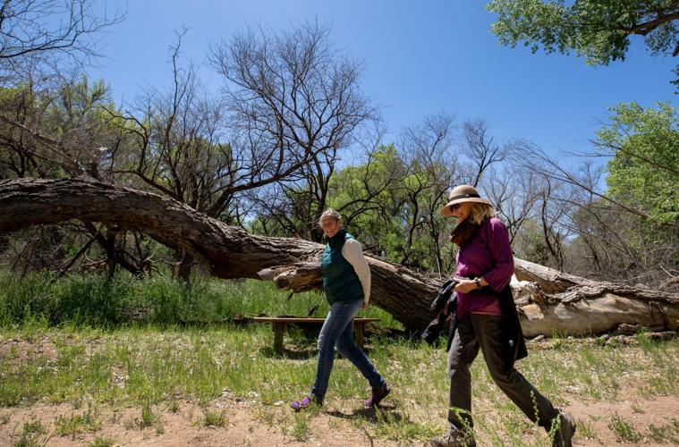 Patagonia-Sonoita Creek Preserve