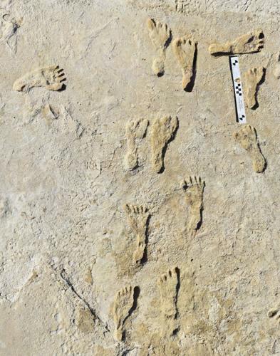 Fossilized footprints at White Sands National Park