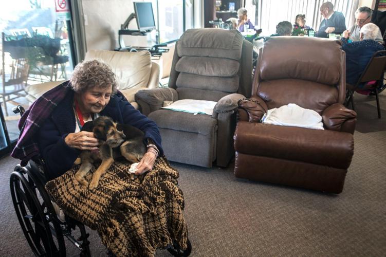 Dogs at Aguilera Assisted Living Home