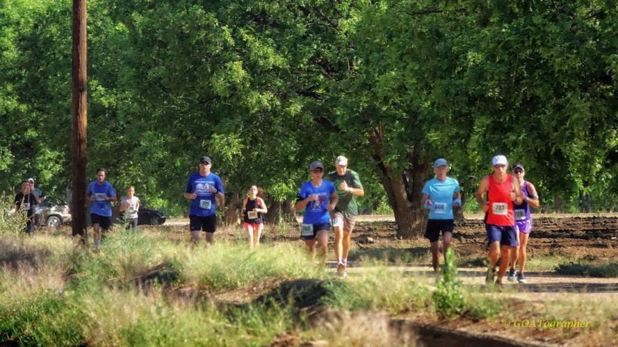 Sixth Annual Nut Run 5k