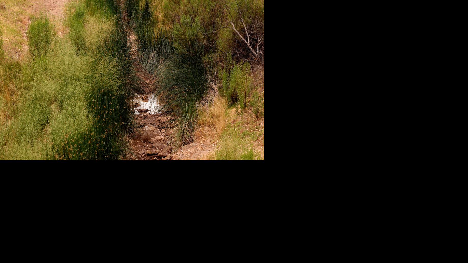 'Zero flow' recorded at key spot on Arizona's drying San Pedro River