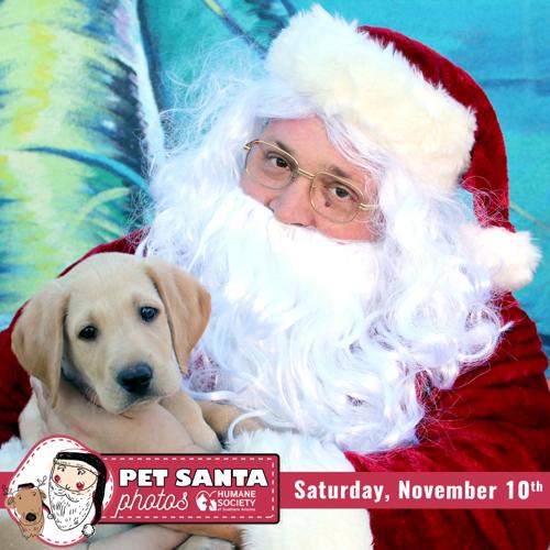 Pet Santa photos