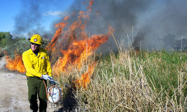 Sweetwater Wetlands Burn
