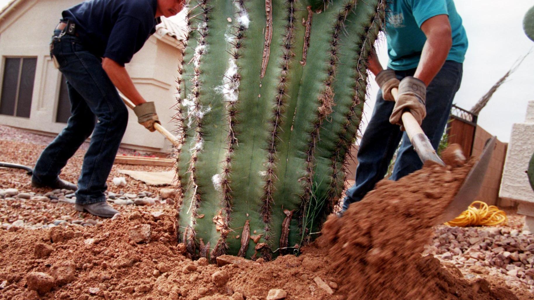 Rosie On The House Top 3 Home Improvement And Landscape Articles
