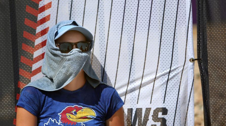 Arizona Wildcats at the College World Series