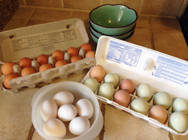 The Big Egg Throwdown: Factory vs. organic experiment