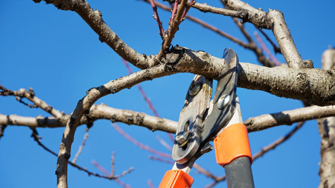 Top home improvement topics, part 1 Top home improvement topics, part 1