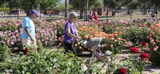 Reid Park Rose Garden