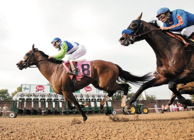 Barbaro wins in a breeze  