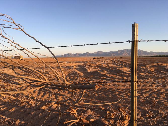 051316-metro-winddust-p2