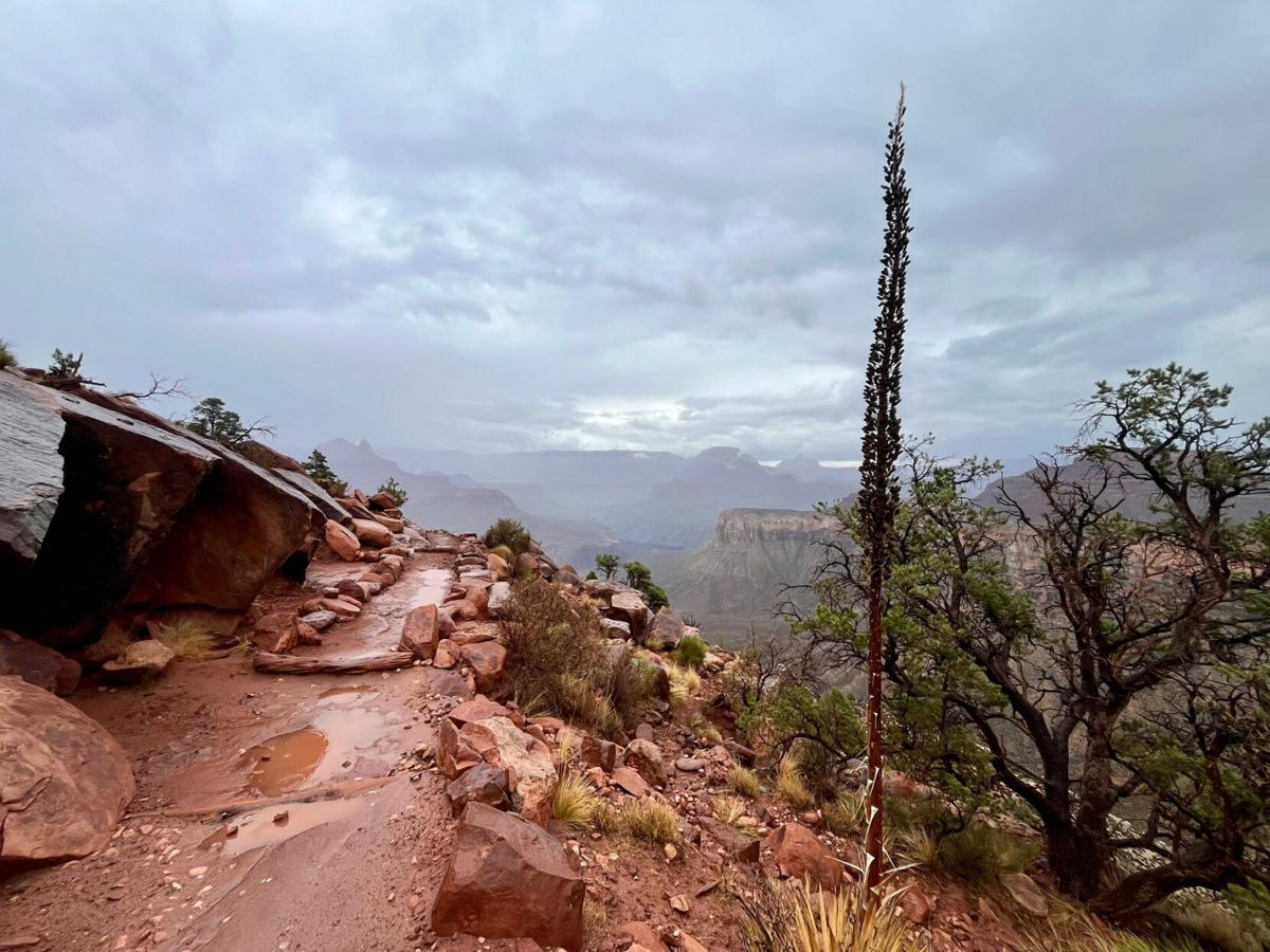 Flash flooding in the Grand Canyon