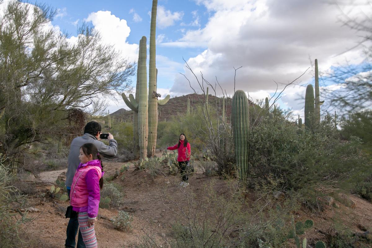 Entrance fees at Saguaro National Park will increase by $5 on Jan. 1 ...