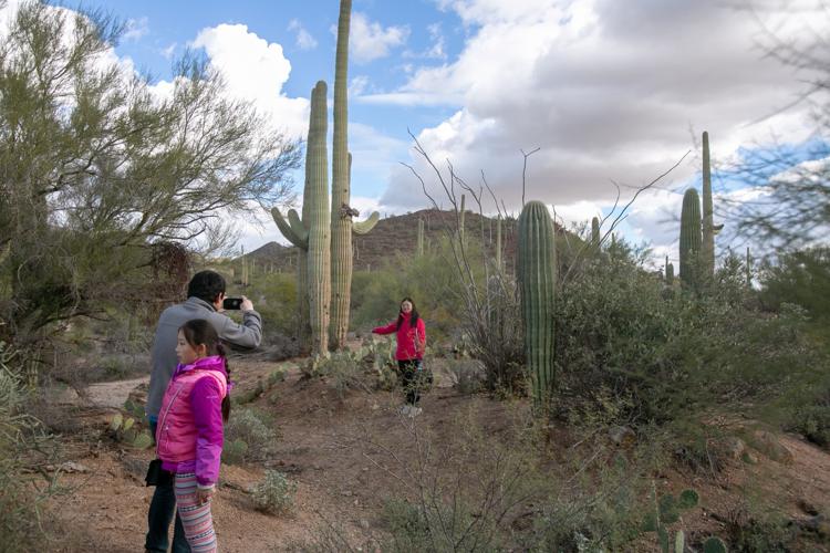 Saguaro National Park West