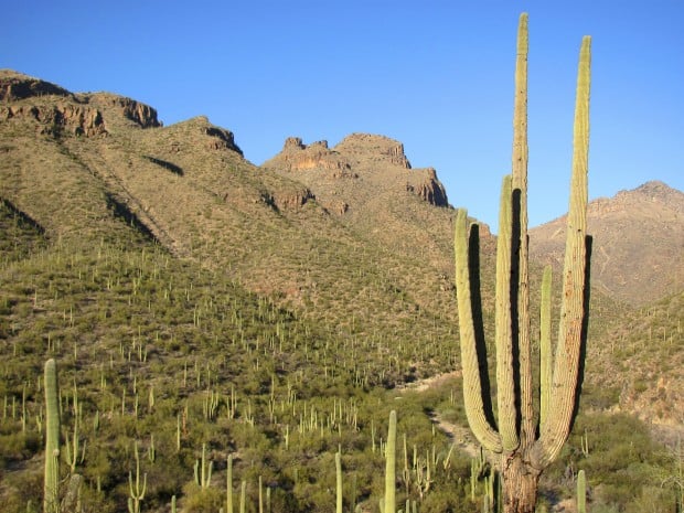 Bear Canyon doesn't have to mean crowds   