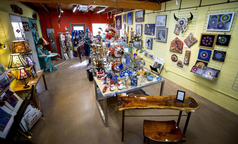 Cactus Wren Gallery