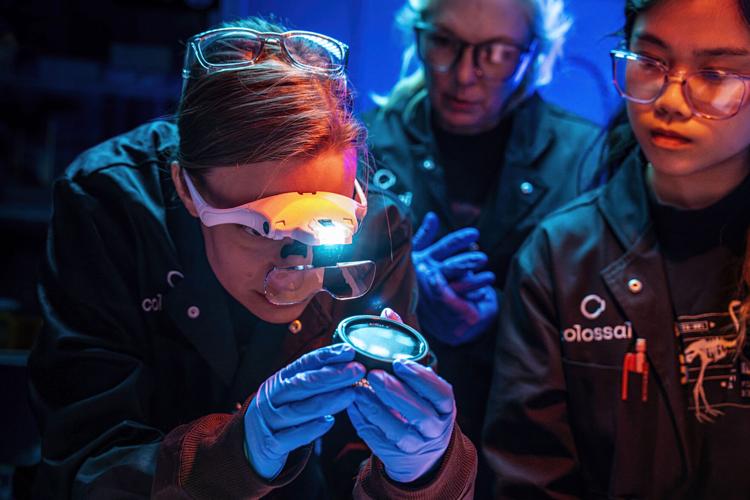 Artificial egg helps Colossal hatch its de-extinction plans