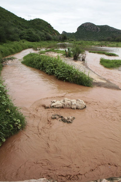 Mexican mining spill