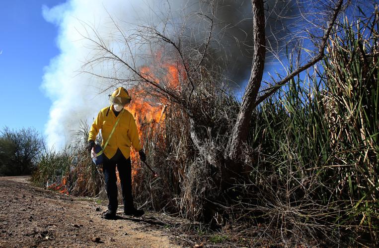 Sweetwater Wetlands Control Burn
