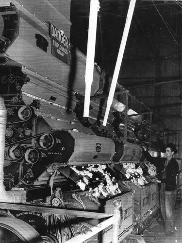 Street Smarts: Anway Road