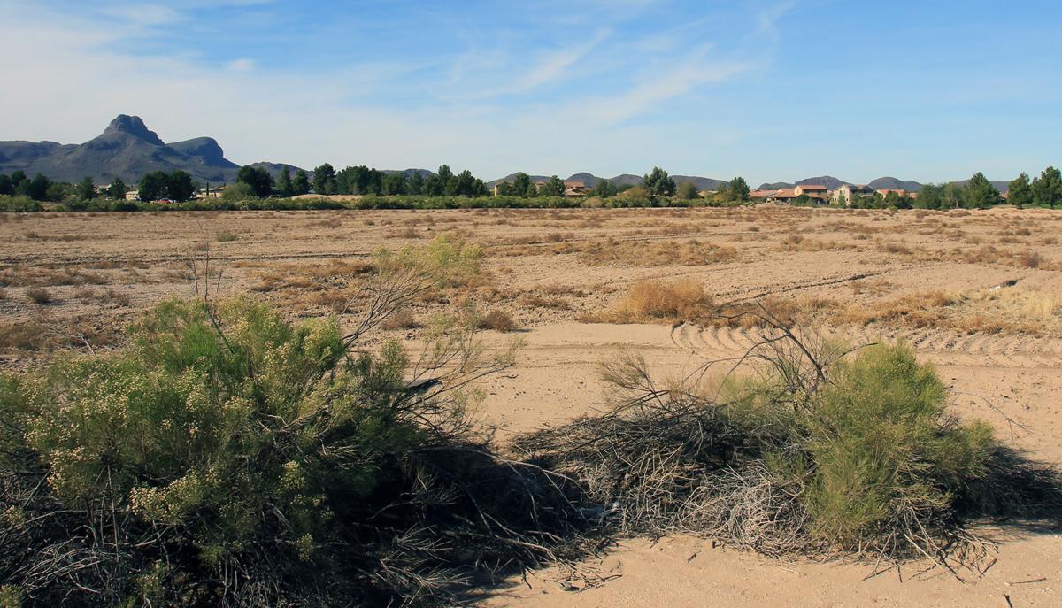 New apartment complex