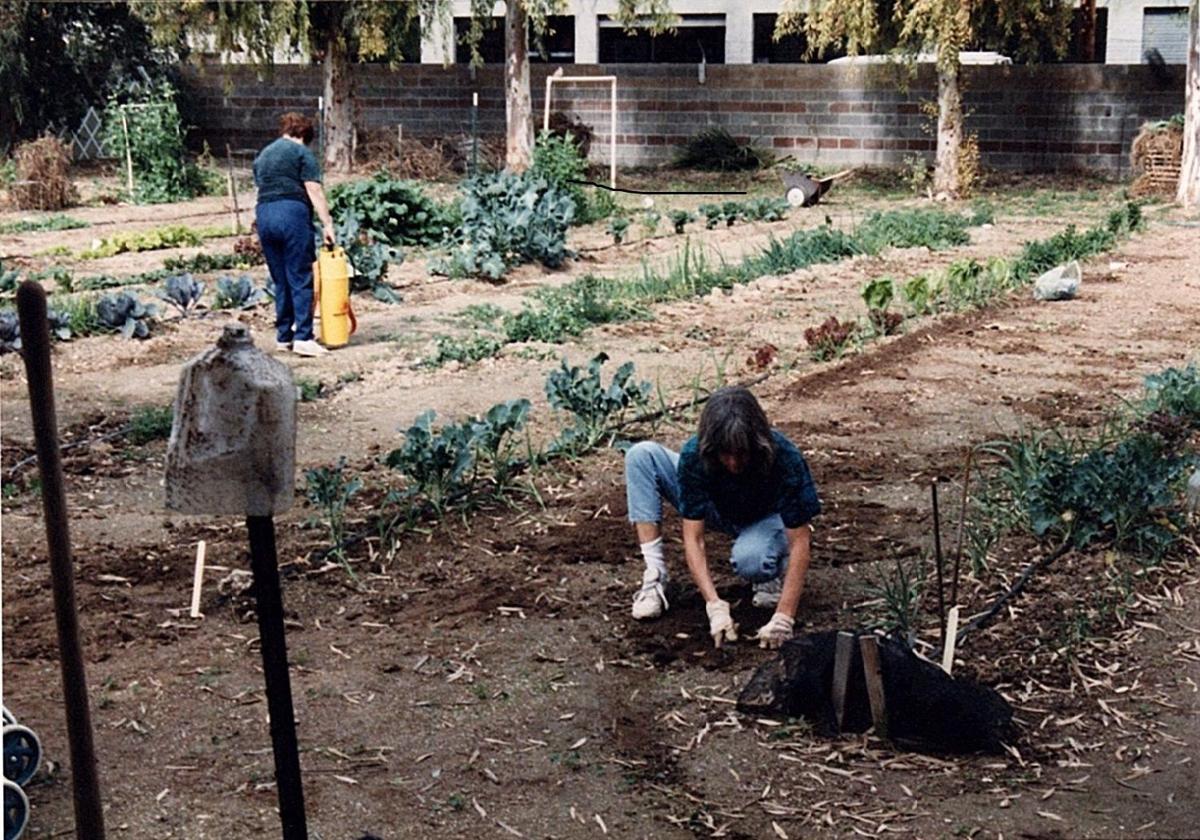 Community Gardens Celebrate 25 Years Of Growth Leisure Tucson Com