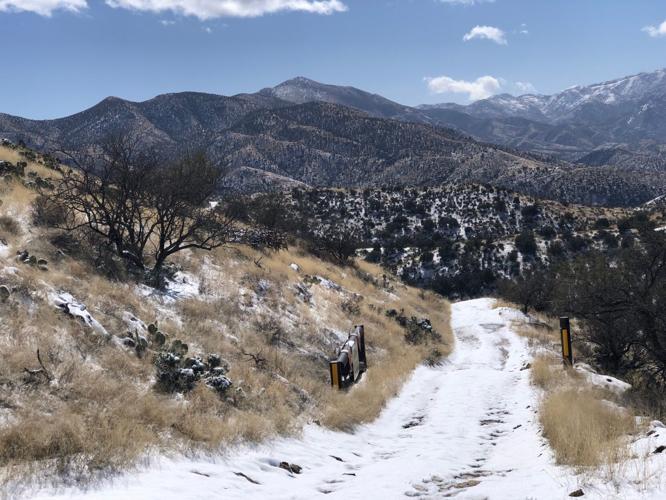 Coronado National Forest adds almost 700 acres in Catalina Mountains south of Oracle