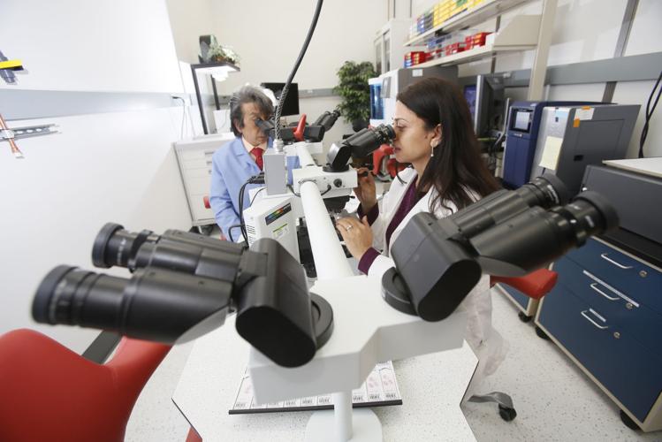 Ventana Medical Systems Award