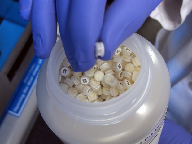 OV plant is giving Sanofi more bang for the bucks   