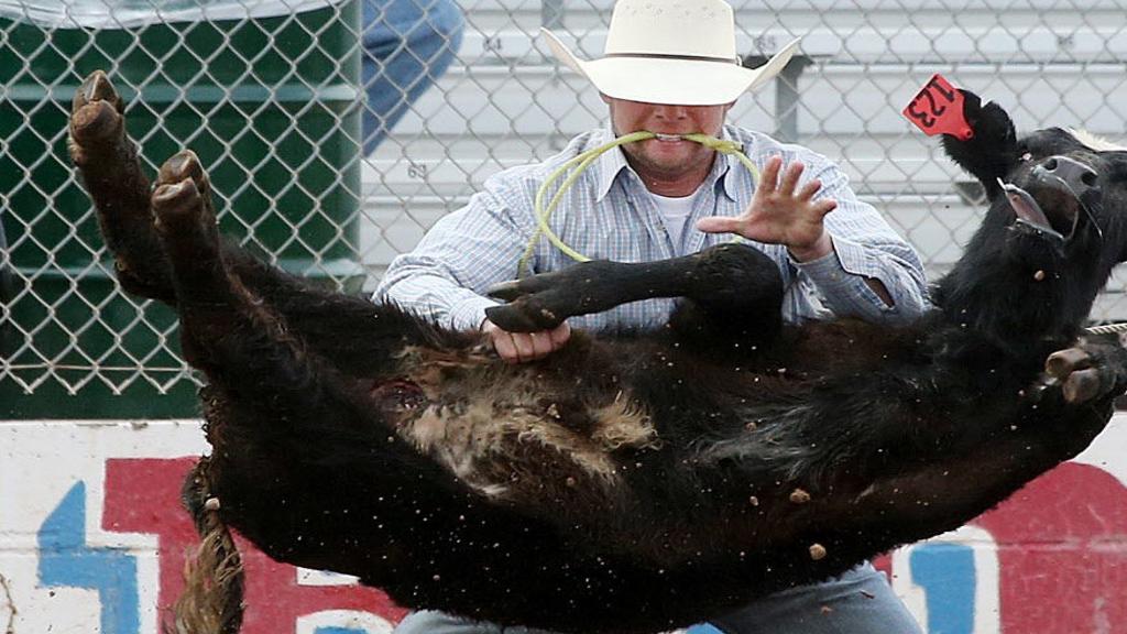 Longtime Veterinarian Eddie Taylor Keeps Coming Back To Tucson