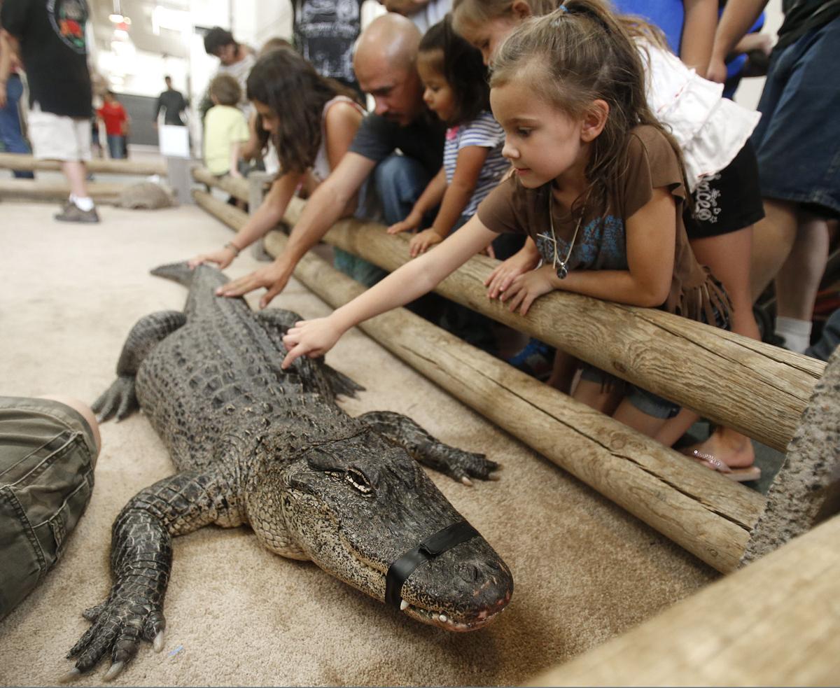 Photos Tucson Reptile and Amphibian Show