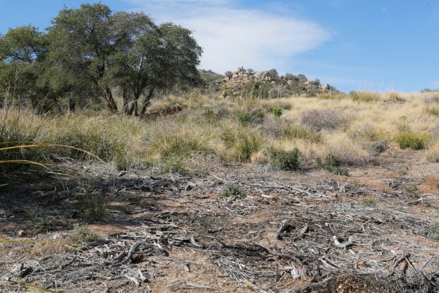 Fire danger in Oracle has officials pushing for better protection for homes