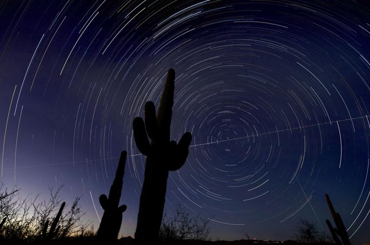 Saguaro National Park East (copy)