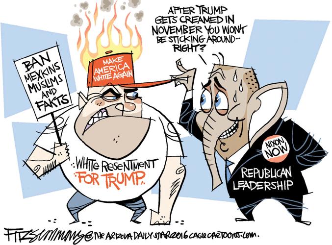 Daily Fitz Cartoon: After