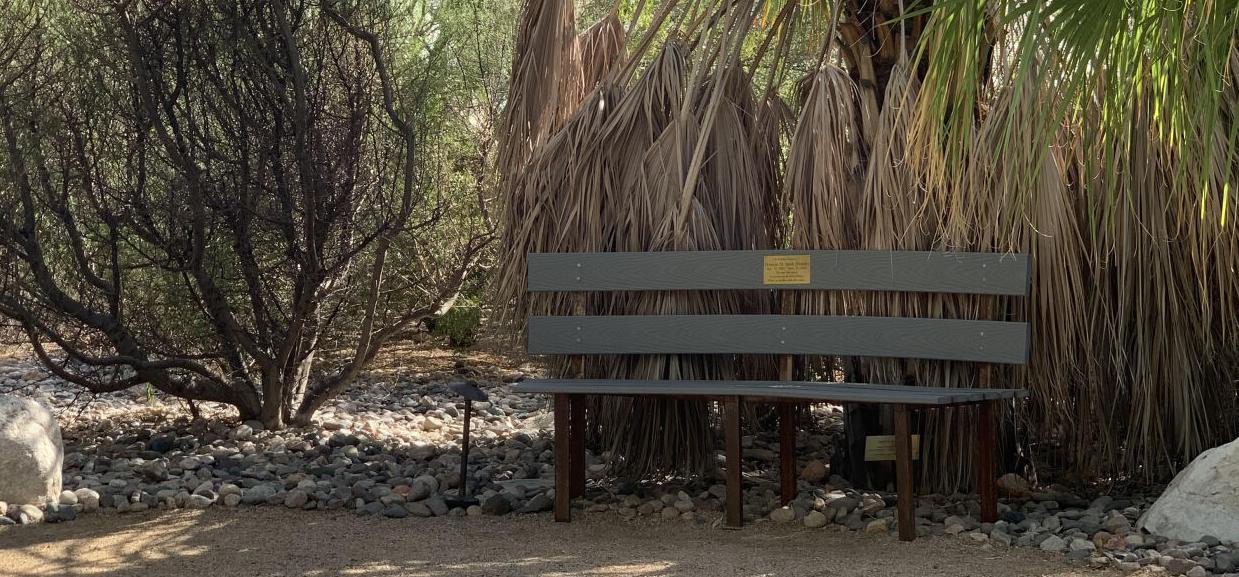 Reading bench Tohono Chul Park