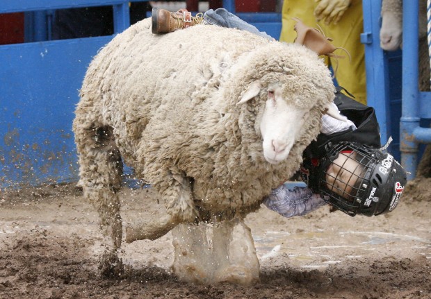 Little Lightning strikes out another rider   