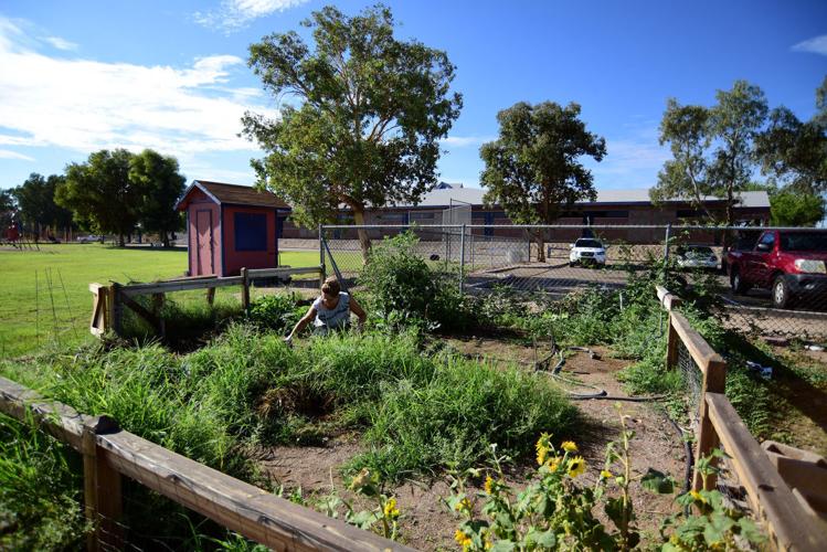School Gardens