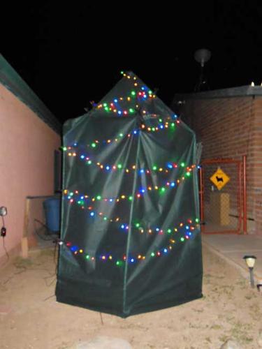 A lemon of a Christmas tree