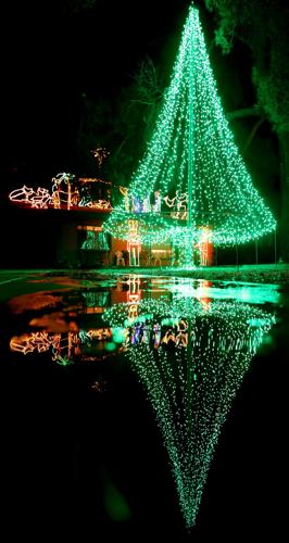 Winterhaven Festival of Lights (LE)