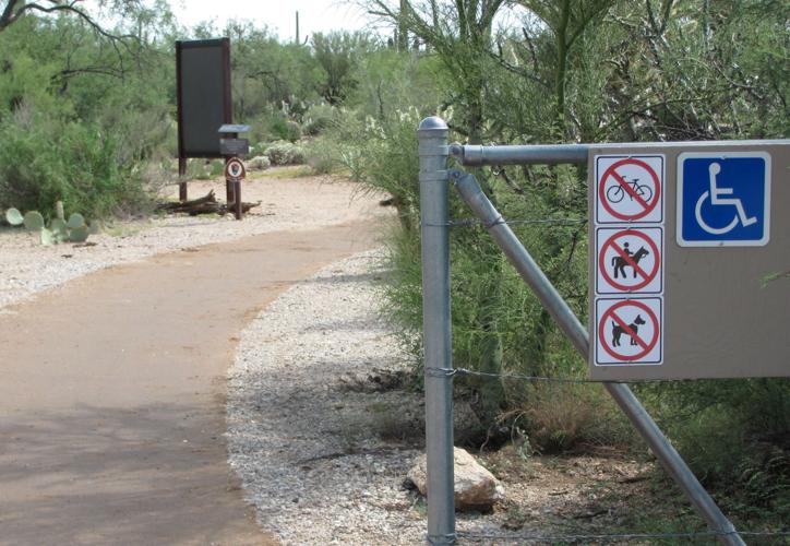 Mica View Trail damaged
