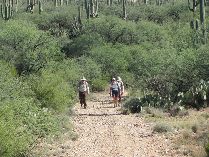 Hikers on the trail