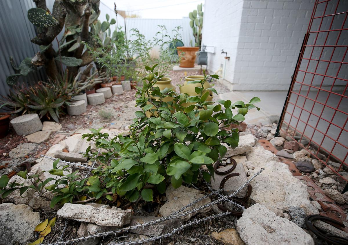 Grey water harvesting (copy)