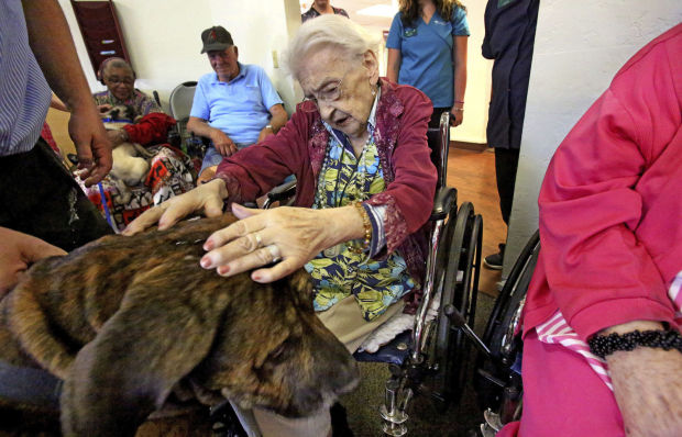 Dog Show at Sherwood Village