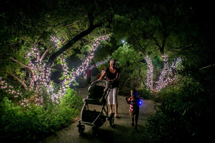 June 30: Cool Summer Nights