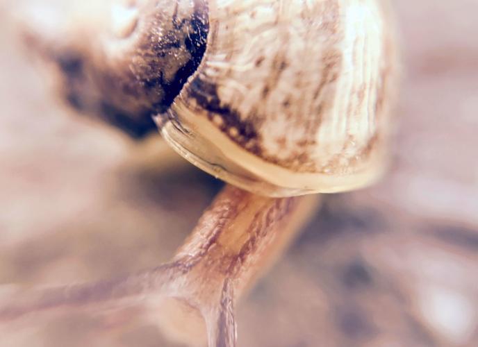 Adventures in Nature Student Photo Contest / Tara Poseley