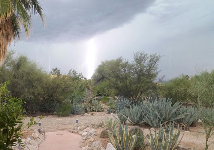 Monsoon photo contest